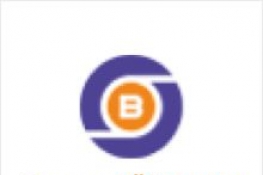 SBTC币/超级比特币白皮书和团队成员介绍